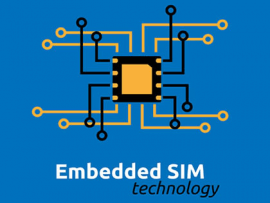 Which networks offer eSIMs?